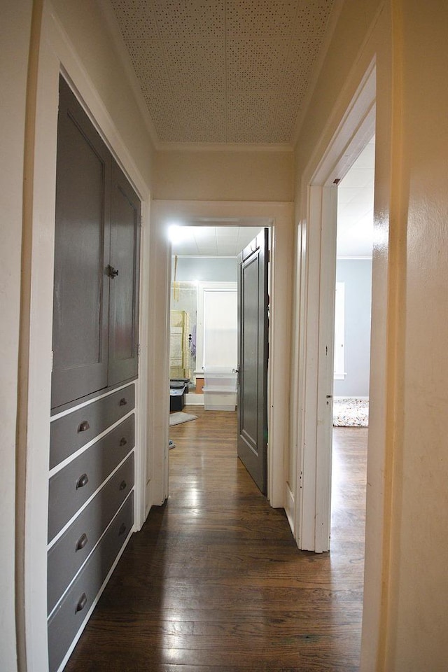 hallway with dark hardwood / wood-style flooring and ornamental molding