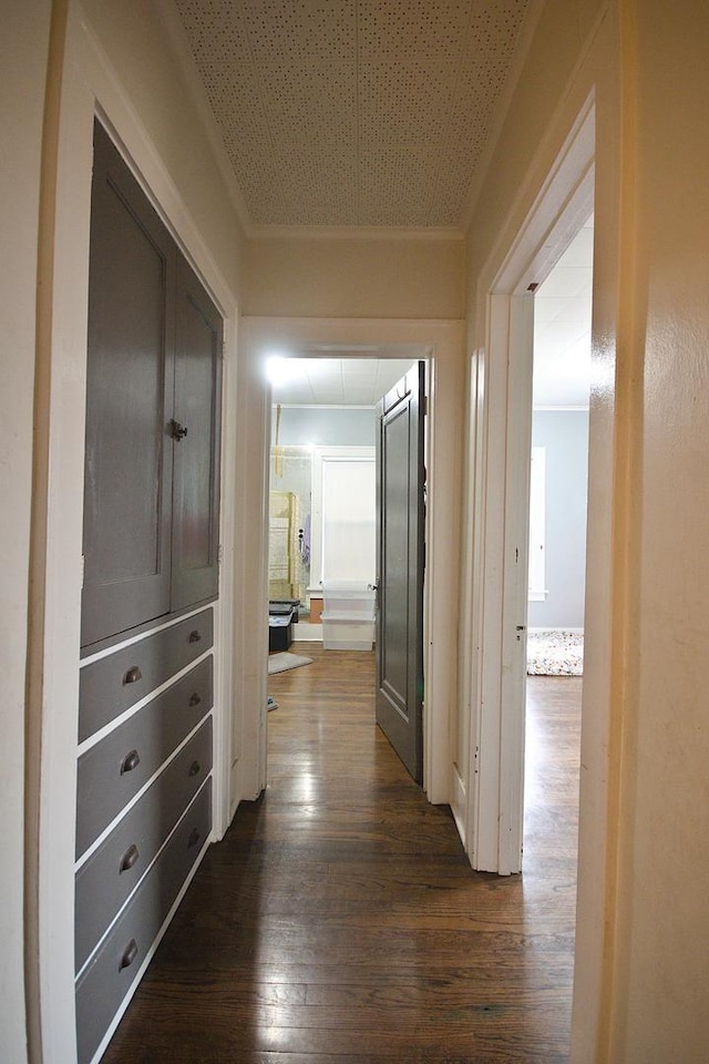 280A W Exchange St, Crete, IL 60417 - corridor featuring dark wood-style floors and ornamental molding