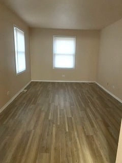 empty room featuring dark wood-type flooring and a wealth of natural light