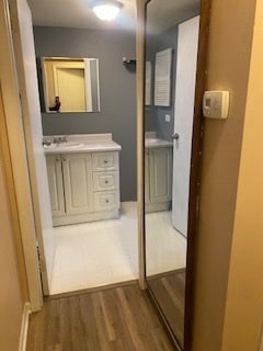 bathroom with hardwood / wood-style flooring and vanity