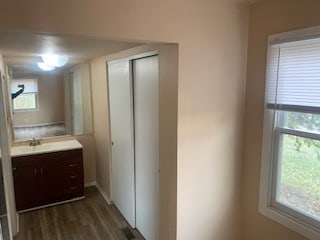 bathroom with vanity and wood-type flooring