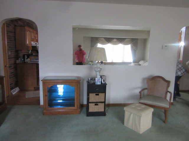 living area featuring light colored carpet