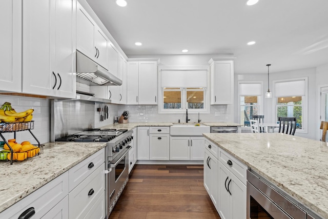 kitchen with white cabinetry, dark wood-type flooring, stainless steel appliances, ventilation hood, and decorative light fixtures