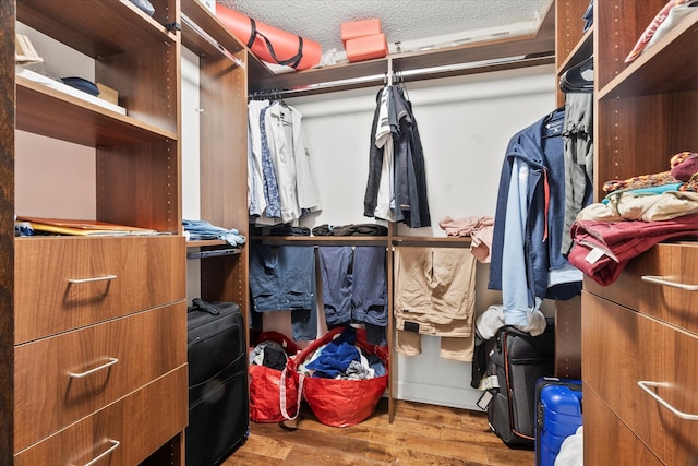 spacious closet with wood-type flooring