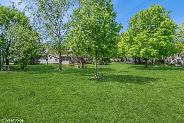13482 S Silverleaf Rd, Plainfield, IL 60544 - view of grassy yard