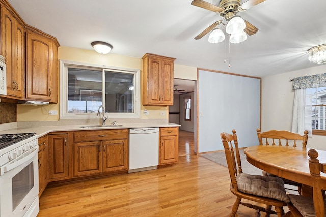 kitchen featuring ceiling fan, light wood-type flooring, white appliances, and sink