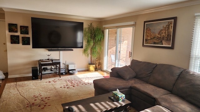 living room featuring crown molding, plenty of natural light, and hardwood / wood-style flooring