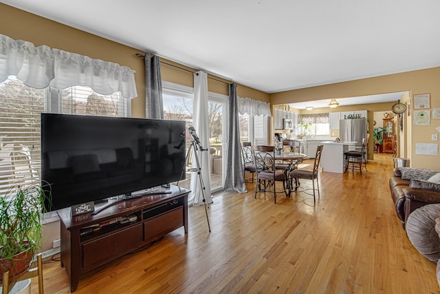 living room with light wood-type flooring