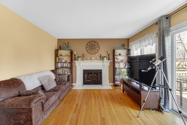 living room with a fireplace and light hardwood / wood-style flooring