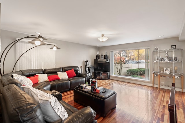 living room with hardwood / wood-style floors