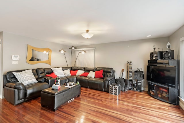 living room featuring hardwood / wood-style floors