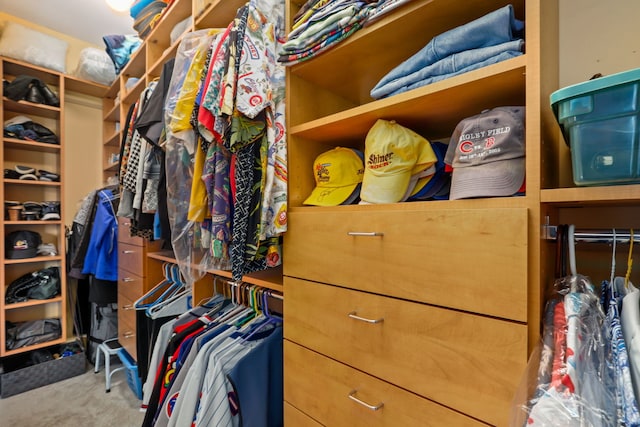 spacious closet with carpet