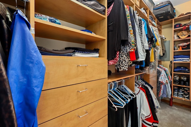 spacious closet featuring carpet flooring