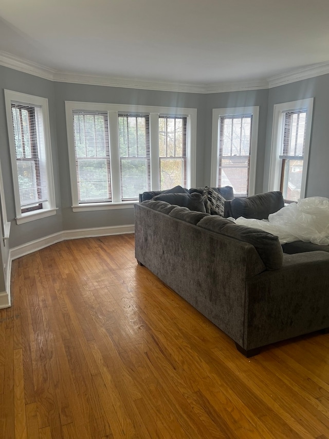 living room with crown molding and hardwood / wood-style floors