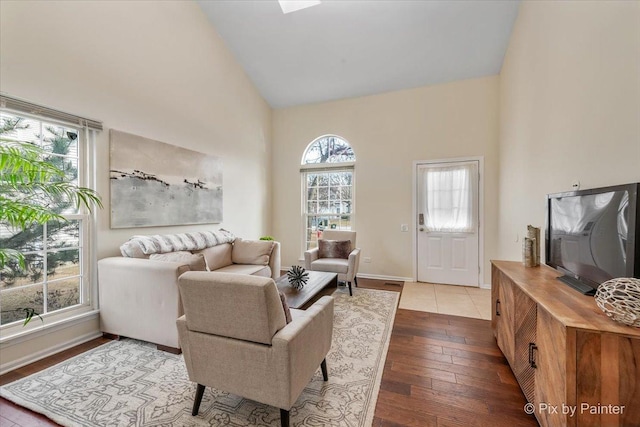 living room with wood-type flooring and high vaulted ceiling