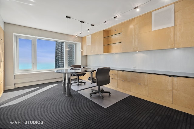 office area with carpet and rail lighting