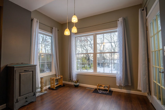 miscellaneous room featuring dark hardwood / wood-style flooring and plenty of natural light