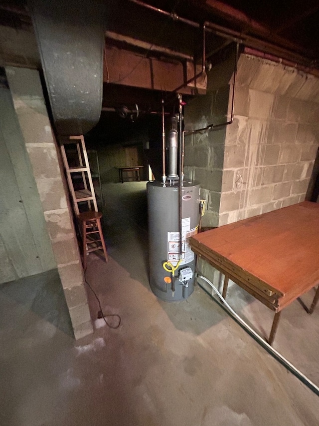 basement with gas water heater