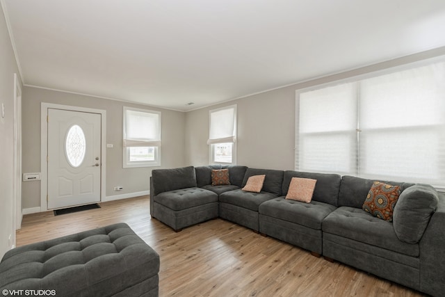 living room featuring ornamental molding and light wood-type flooring