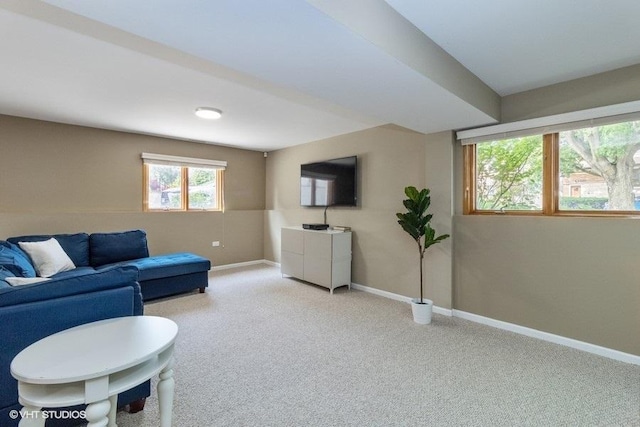 living room with light carpet