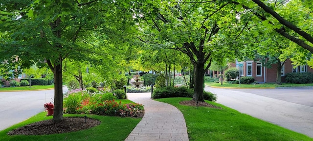 view of community with a lawn