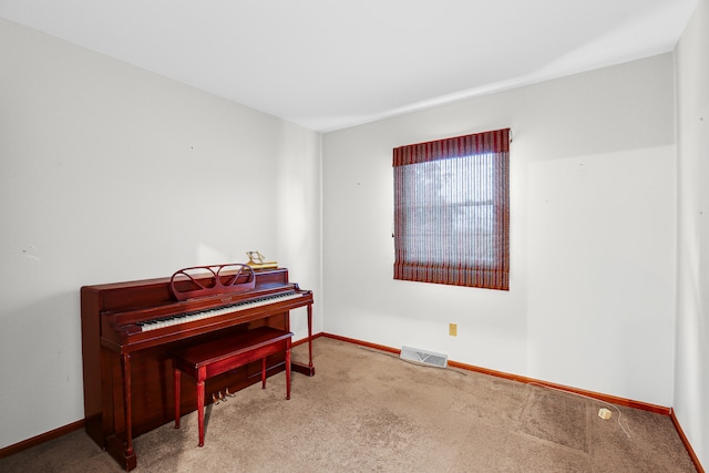 miscellaneous room featuring carpet floors