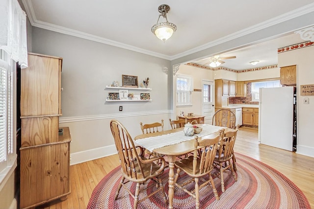 dining space featuring ceiling fan, plenty of natural light, ornamental molding, and light wood-type flooring