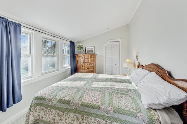 bedroom featuring a closet and vaulted ceiling