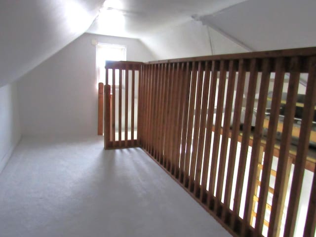 bonus room with carpet flooring and vaulted ceiling