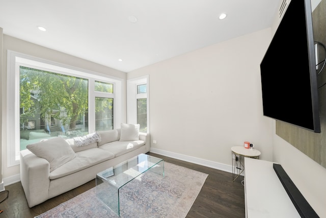 living room with dark hardwood / wood-style flooring