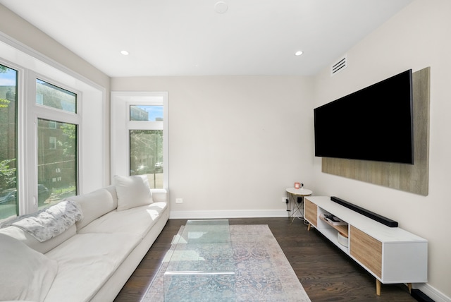 living room featuring dark wood-type flooring