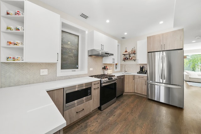 kitchen with decorative backsplash, appliances with stainless steel finishes, dark hardwood / wood-style flooring, light brown cabinetry, and sink