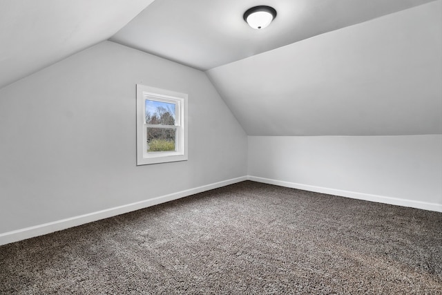 additional living space with carpet and lofted ceiling