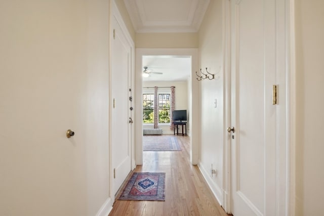 hallway with light hardwood / wood-style floors and crown molding