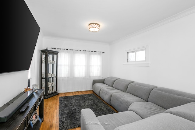 living room with crown molding and wood-type flooring