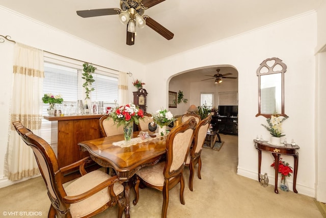 carpeted dining space featuring ceiling fan and ornamental molding