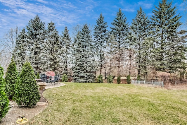 view of yard with a patio area