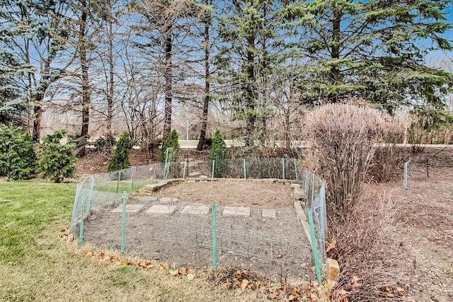 view of yard with a vegetable garden