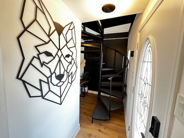 foyer with hardwood / wood-style flooring and vaulted ceiling