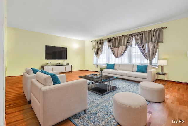 living room with hardwood / wood-style floors