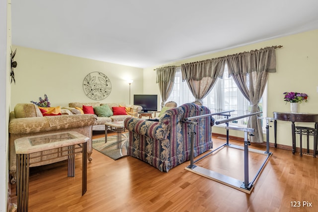 living room with hardwood / wood-style floors