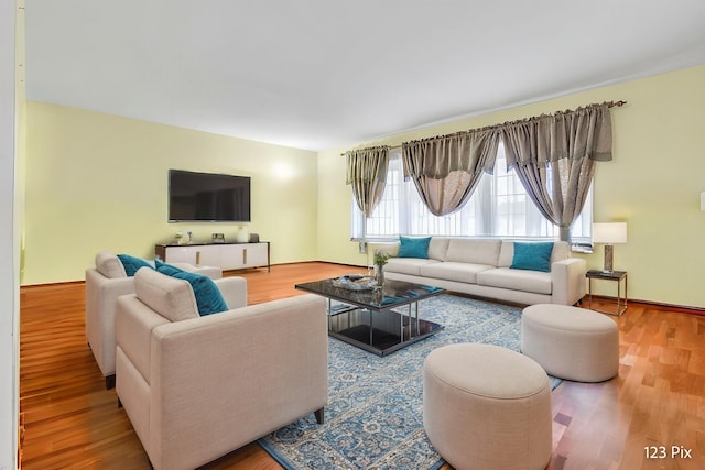living area with wood finished floors
