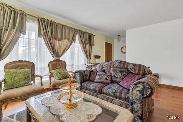 living room featuring hardwood / wood-style flooring