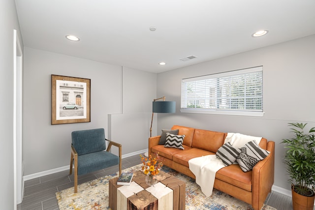 living room featuring hardwood / wood-style floors