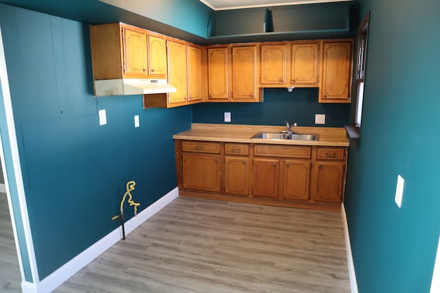 kitchen featuring light hardwood / wood-style flooring and sink