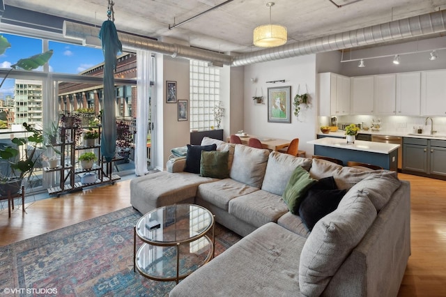 living room featuring light wood-style floors, a healthy amount of sunlight, and rail lighting