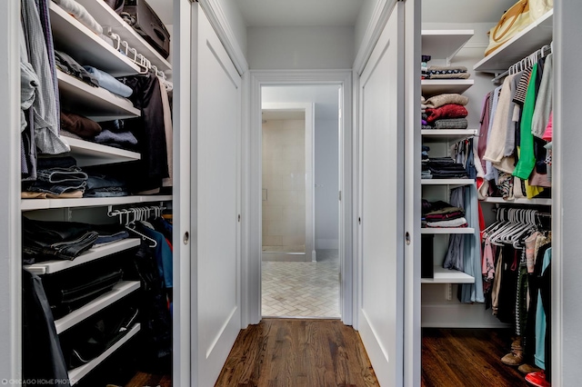 spacious closet featuring dark wood-style floors