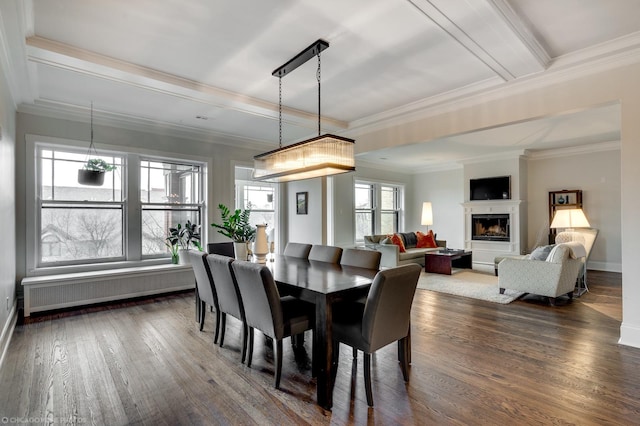 dining space featuring a fireplace with raised hearth, radiator heating unit, dark wood-type flooring, ornamental molding, and baseboards