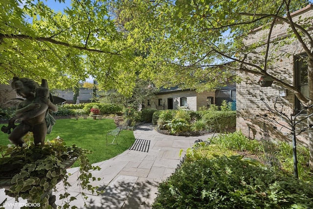 view of yard featuring a patio area