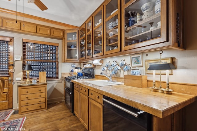 kitchen with hardwood / wood-style flooring, ceiling fan, sink, and black appliances